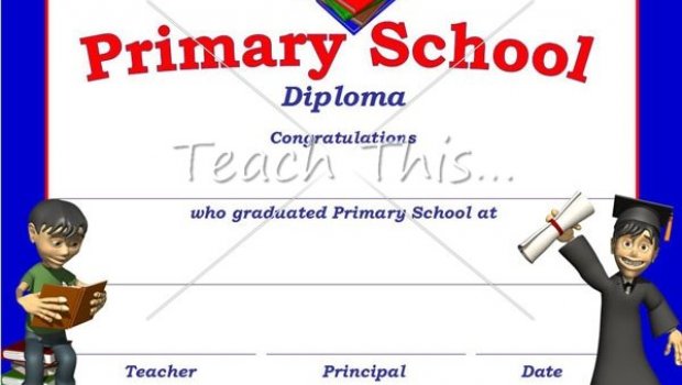 Primary school diploma