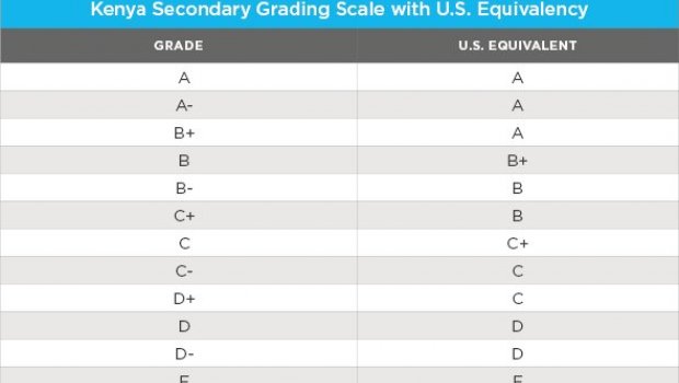 Primary School grades in USA