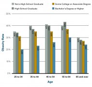 Figure 1.18a: Adult Obesity Rates by Age and Education Level, 2008