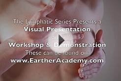 Dr Robert Cassar | Lymphatic System Primary Elimination