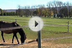 The Hillard Horse Farm for Sale Near State College, PA